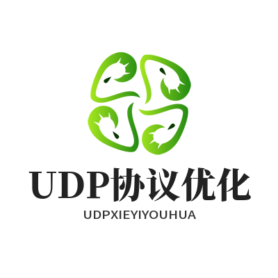 快联VPN UDP协议优化